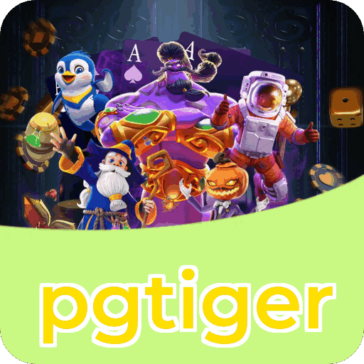 Login rápido no app pgtiger