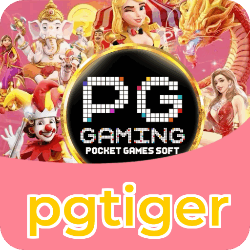 Performance pgtiger