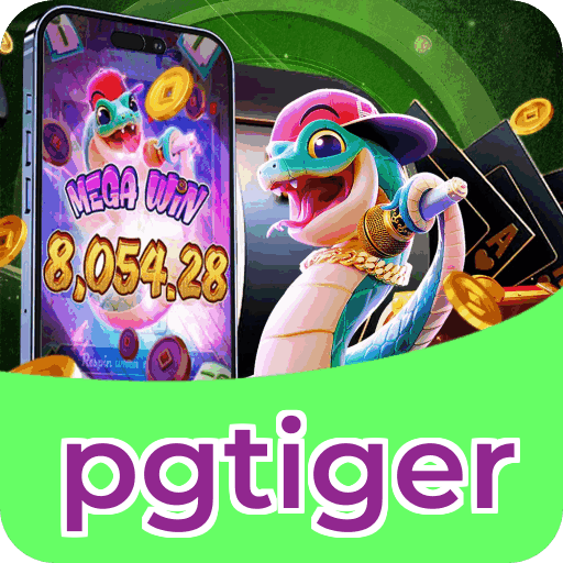 Interface pgtiger